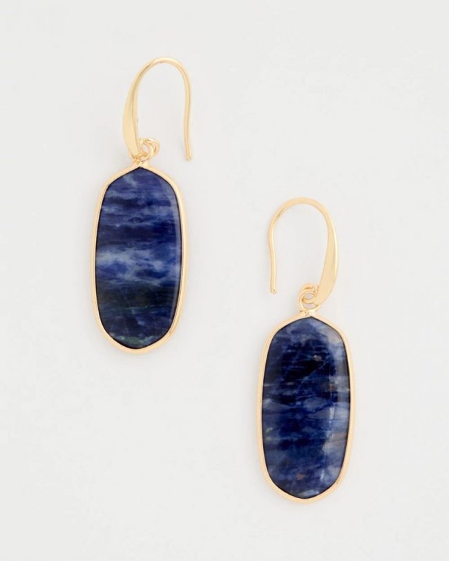 Chicos Genuine Lapis Lazuli Stone Drop Earrings - NAVY