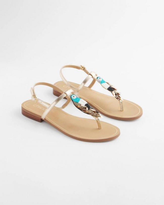 Chicos Beach Parrot T-Strap Sandals - MULTI
