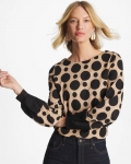 Chicos Ponte Poplin Polka-Dot Top - CATTAIL BROWN
