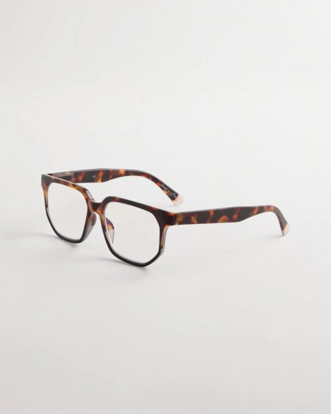 Chicos Tortoise Readers - TORT