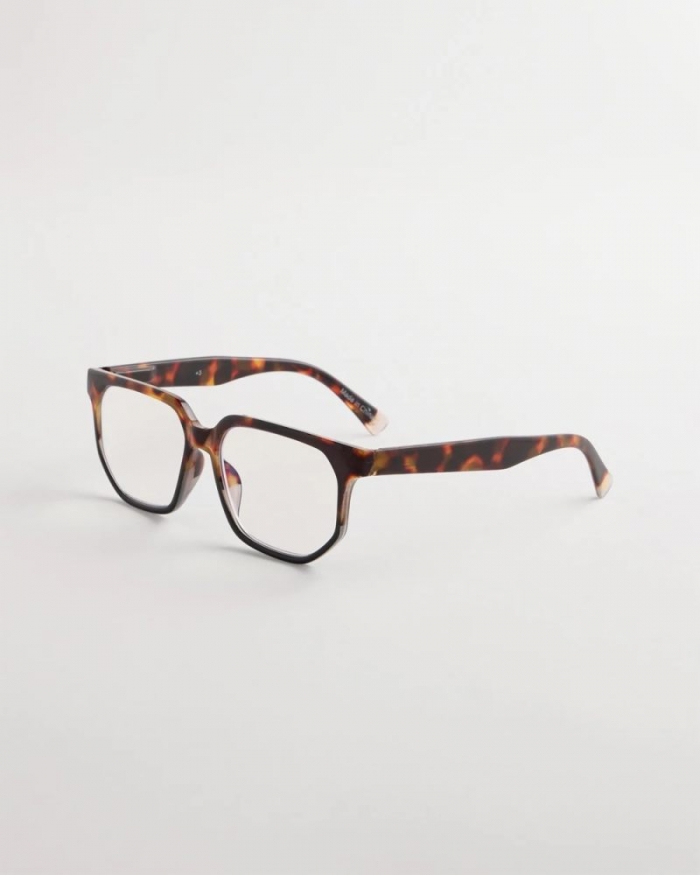 Chicos Tortoise Readers - TORT