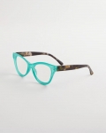 Chicos Teal Tortoise Readers - TEAL Chicos Teal Tortoise Readers - TEAL