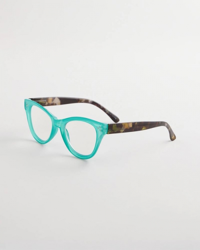 Chicos Teal Tortoise Readers - TEAL