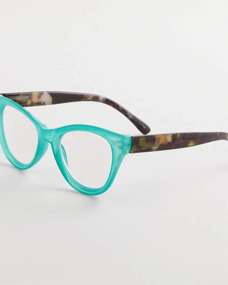 Chicos Teal Tortoise Readers - TEAL