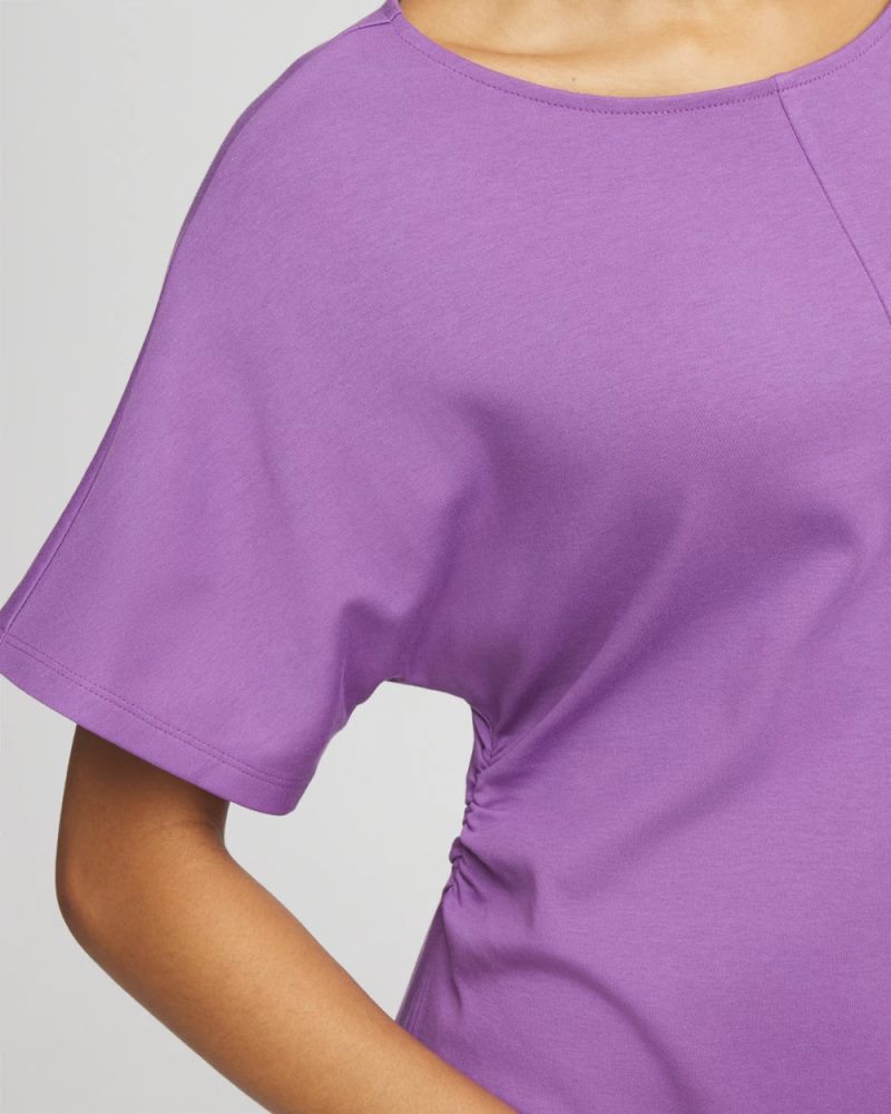 Chicos Fit and Flare Cinched Waist Dress - PLUM SHADE
